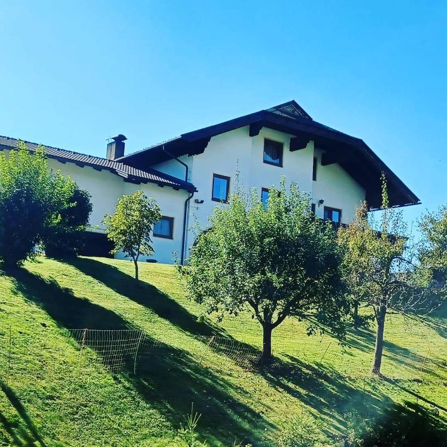 Ferienwohnung Schaller Feistritz an der Drau ภายนอก รูปภาพ