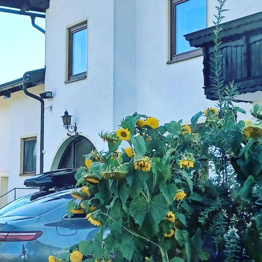 Ferienwohnung Schaller Feistritz an der Drau ภายนอก รูปภาพ