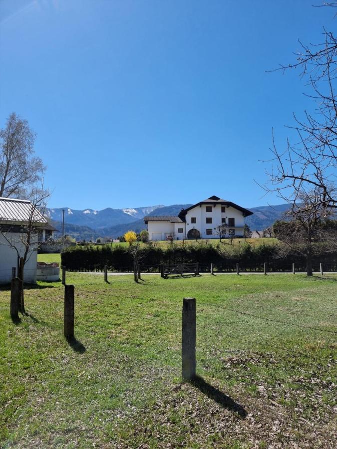 Ferienwohnung Schaller Feistritz an der Drau ภายนอก รูปภาพ